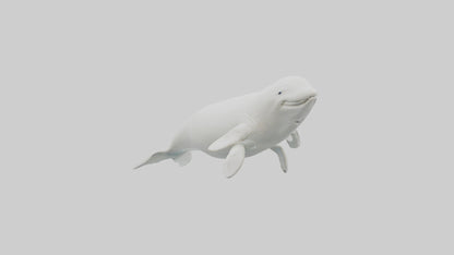 3D model Beluga Whale statue model VR / AR / low-poly