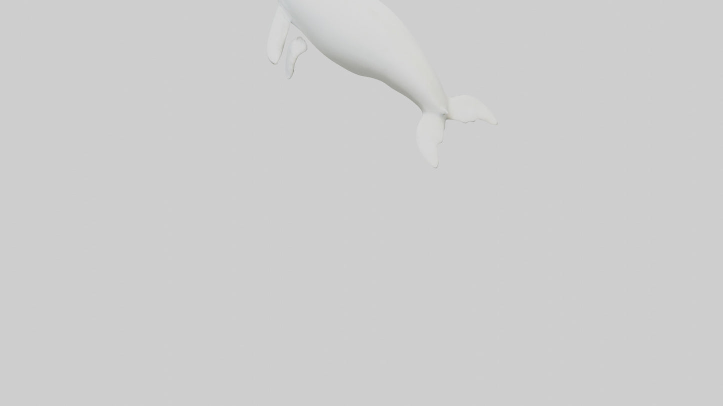 3D model Beluga Whale statue model VR / AR / low-poly