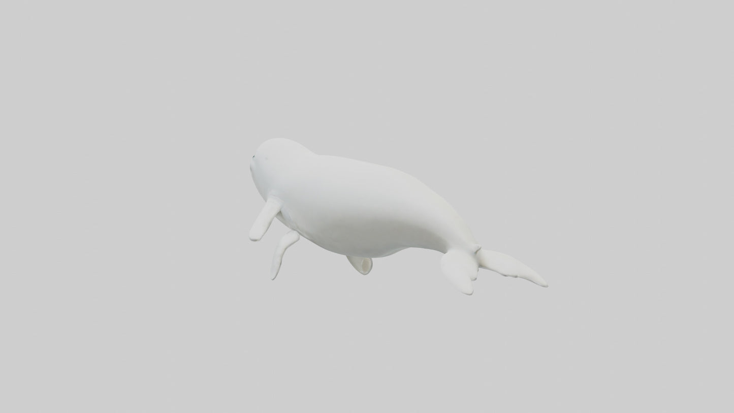 3D model Beluga Whale statue model VR / AR / low-poly