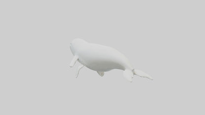 3D model Beluga Whale statue model VR / AR / low-poly