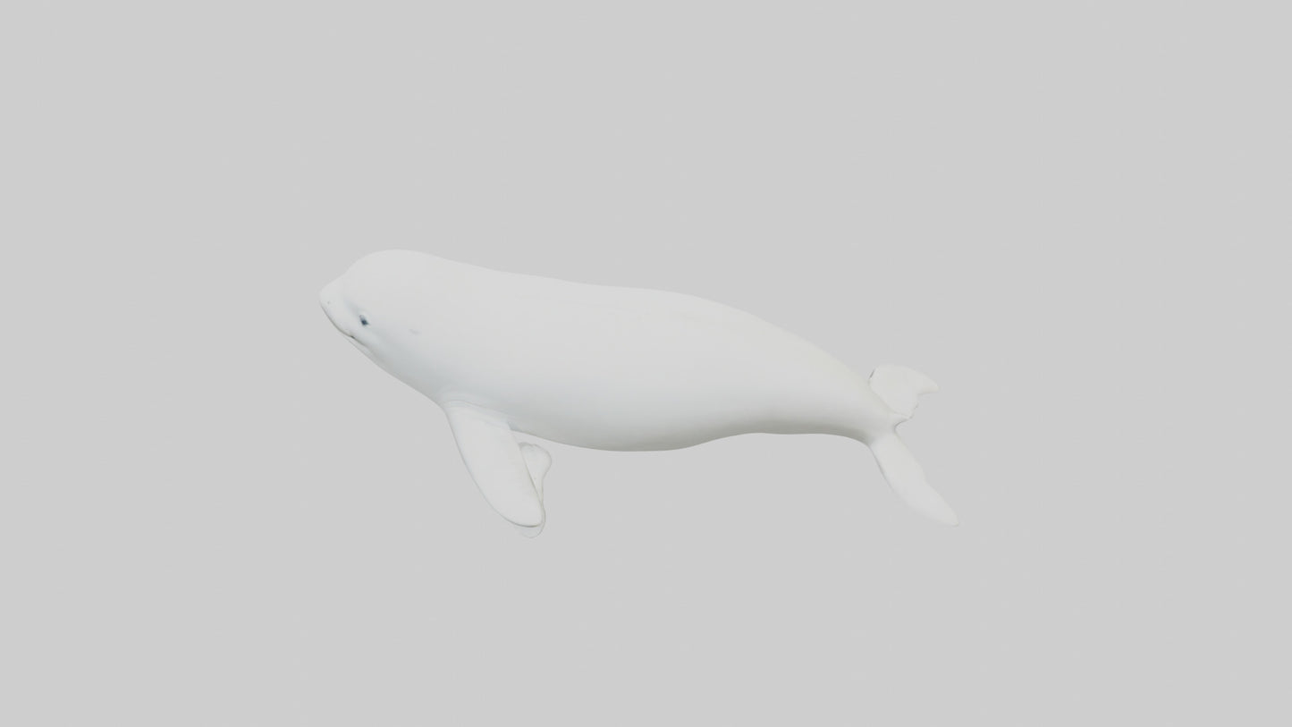 3D model Beluga Whale statue model VR / AR / low-poly