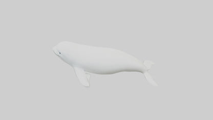3D model Beluga Whale statue model VR / AR / low-poly