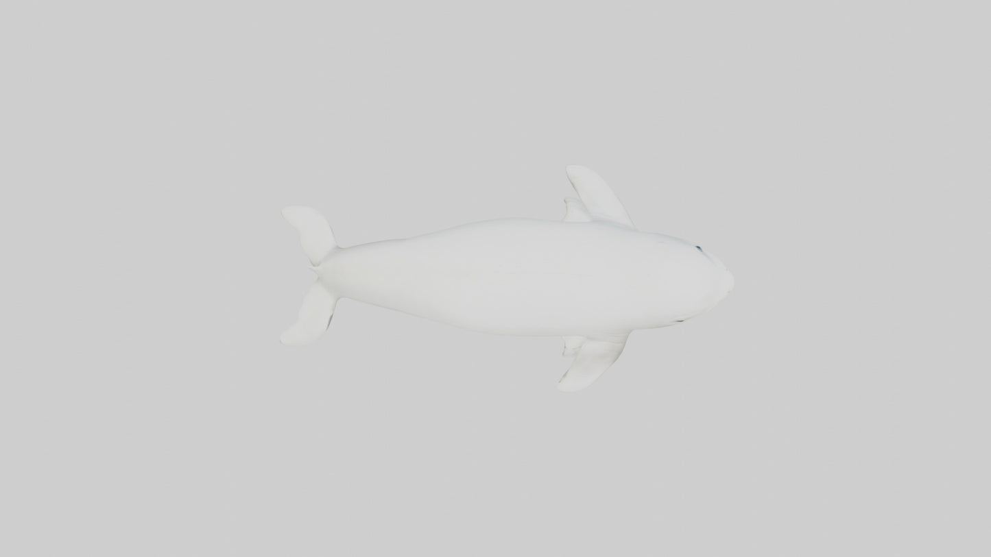 3D model Beluga Whale statue model VR / AR / low-poly