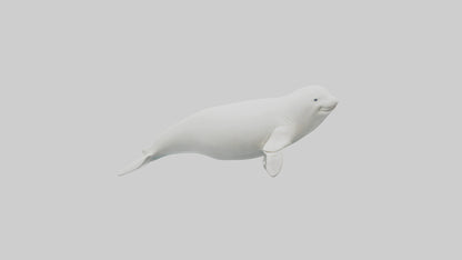 3D model Beluga Whale statue model VR / AR / low-poly