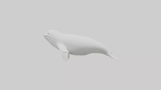 3D model Beluga Whale statue model VR / AR / low-poly