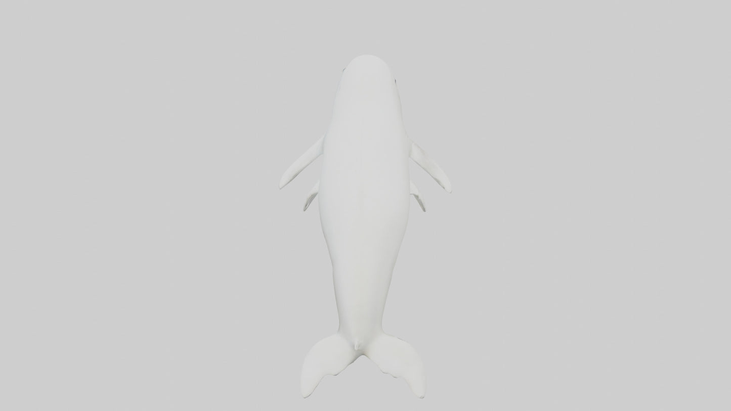 3D model Beluga Whale statue model VR / AR / low-poly
