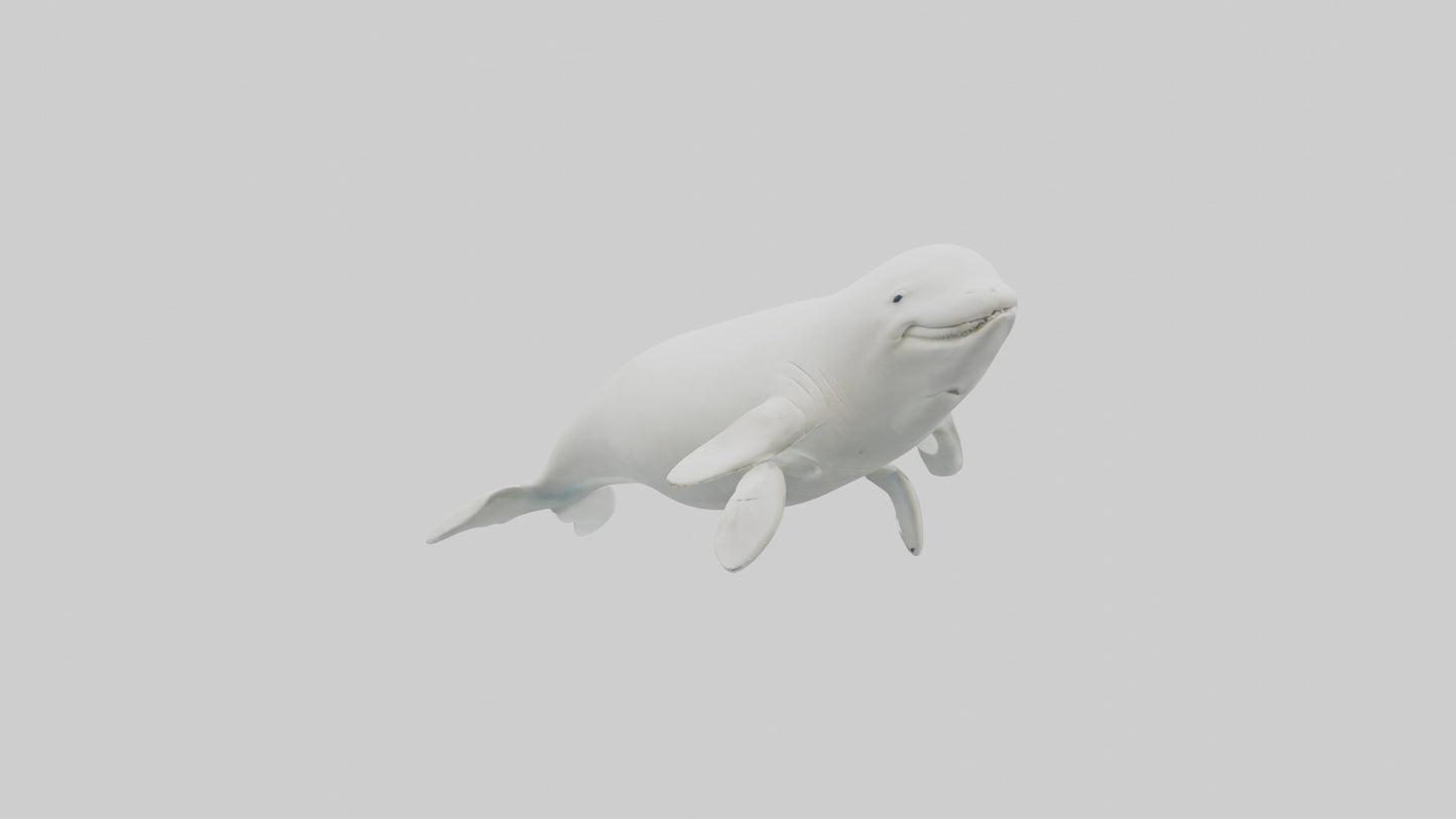 3D model Beluga Whale statue model VR / AR / low-poly