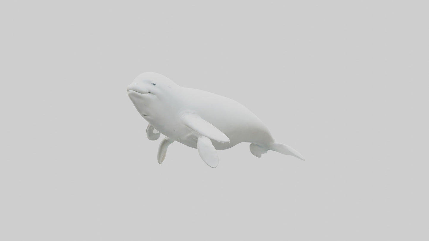 3D model Beluga Whale statue model VR / AR / low-poly