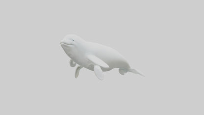 3D model Beluga Whale statue model VR / AR / low-poly
