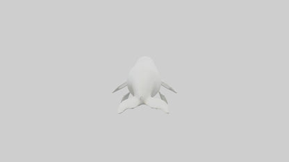 3D model Beluga Whale statue model VR / AR / low-poly