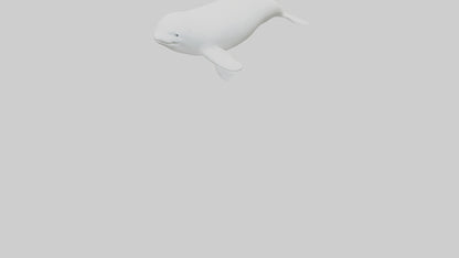 3D model Beluga Whale statue model VR / AR / low-poly