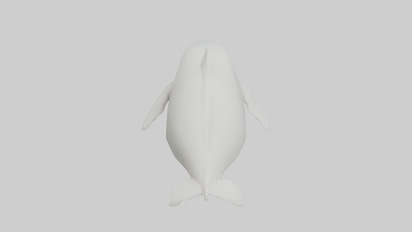 3D model Beluga Whale swimming model VR / AR / low-poly