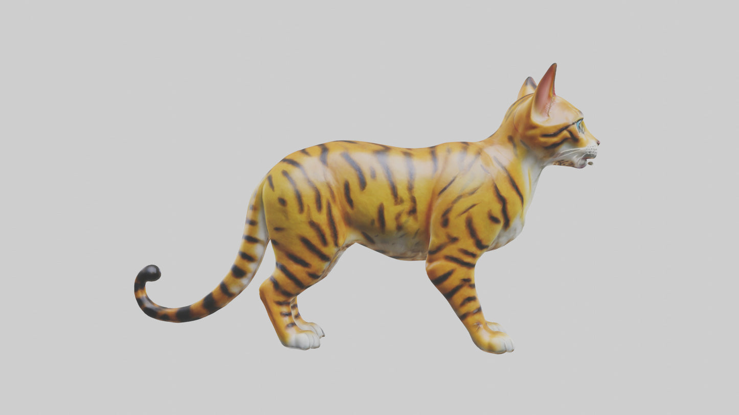 3D model Bengal Cat statue model VR / AR / low-poly