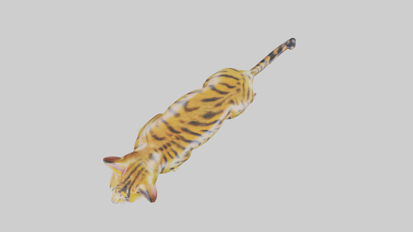 3D model Bengal Cat statue model VR / AR / low-poly
