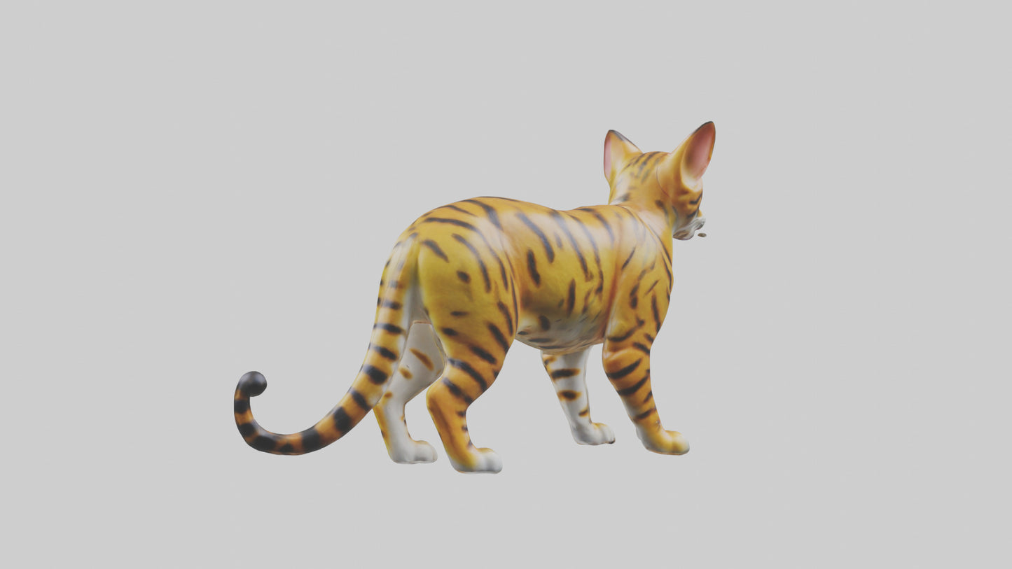 3D model Bengal Cat statue model VR / AR / low-poly