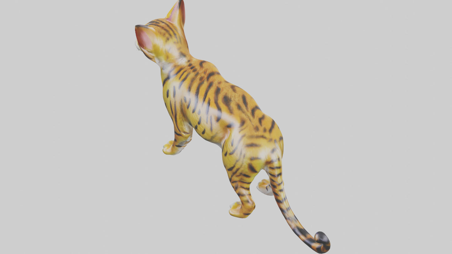 3D model Bengal Cat statue model VR / AR / low-poly