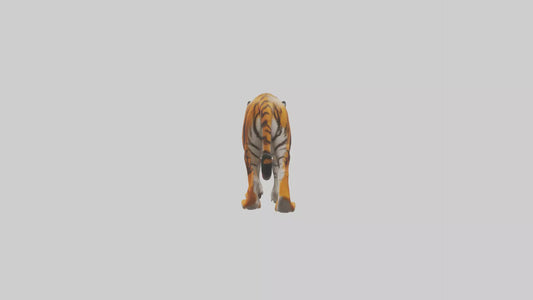 3D model Bengal Tiger walking model VR / AR / low-poly
