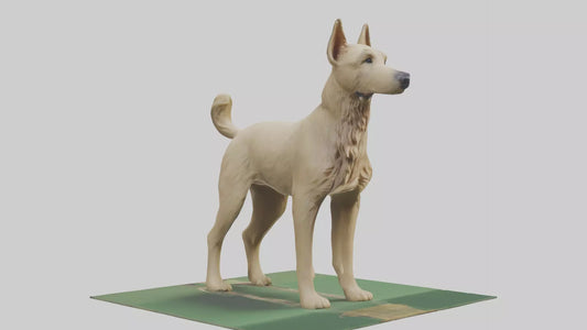 3D model Berger Picard herding model VR / AR / low-poly