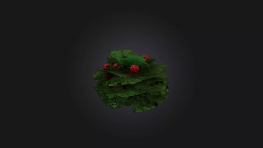 3D model Berry Bush Model VR / AR / low-poly