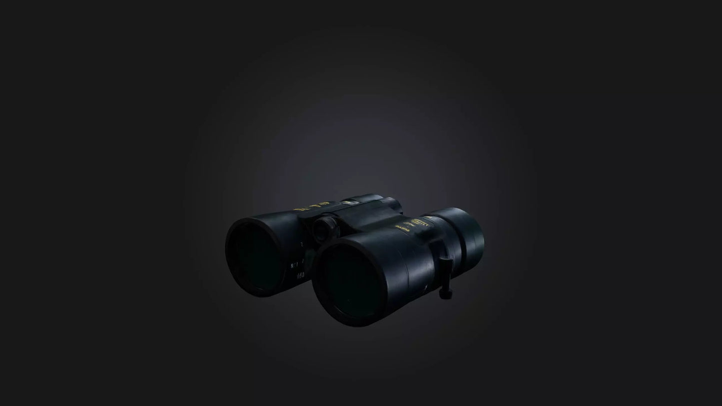 3D model Binoculars VR / AR / low-poly