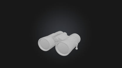3D model Binoculars VR / AR / low-poly