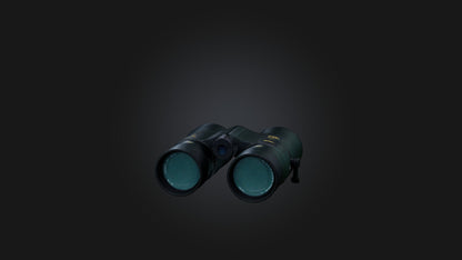 3D model Binoculars VR / AR / low-poly