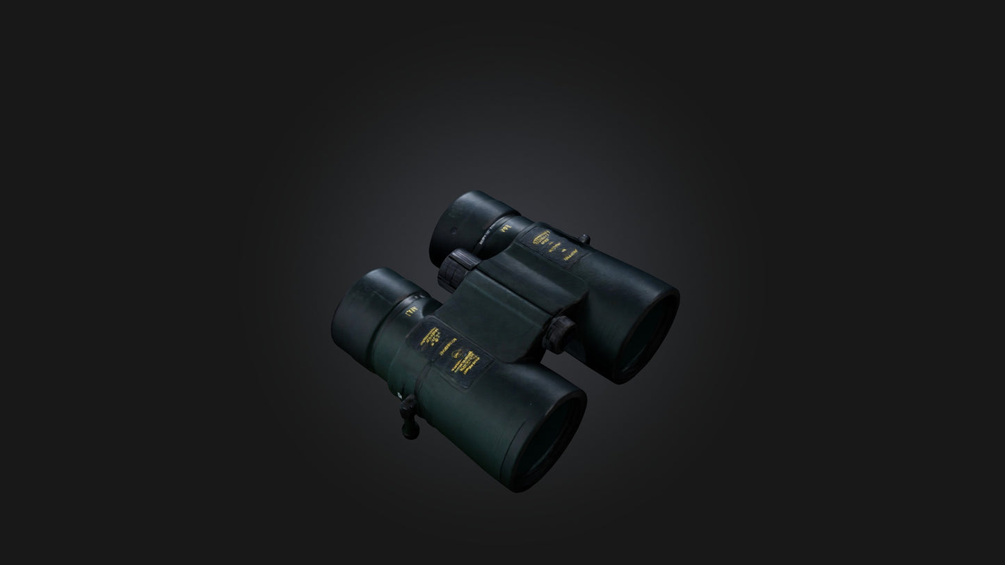3D model Binoculars VR / AR / low-poly