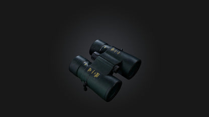 3D model Binoculars VR / AR / low-poly