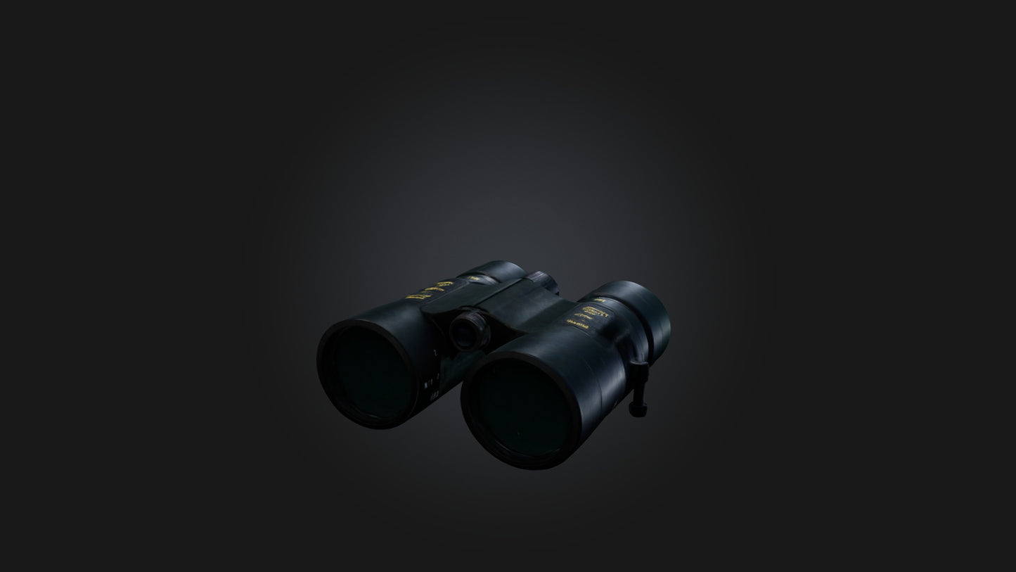 3D model Binoculars VR / AR / low-poly