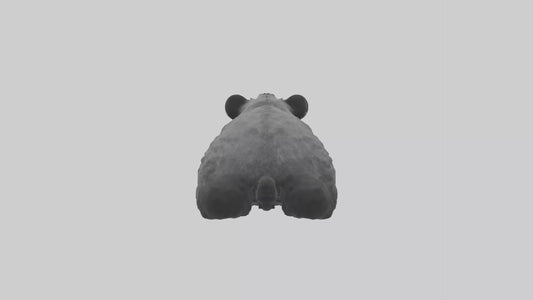 3D model Binturong sitting model VR / AR / low-poly