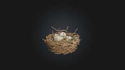 3D model Bird Nest Model VR / AR / low-poly