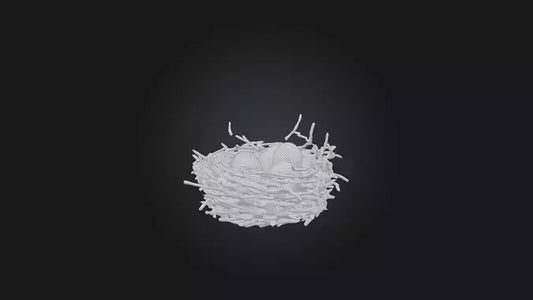 3D model Bird Nest Model VR / AR / low-poly