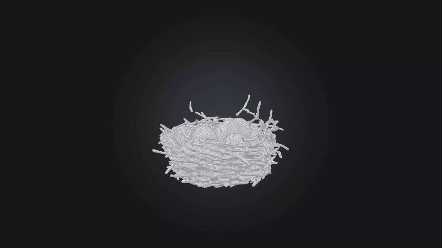 3D model Bird Nest Model VR / AR / low-poly