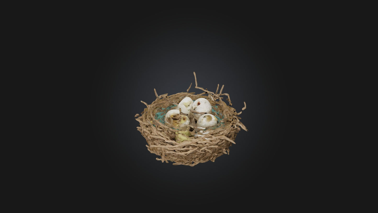 3D model Bird Nest Model VR / AR / low-poly