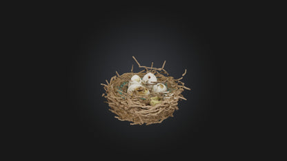 3D model Bird Nest Model VR / AR / low-poly