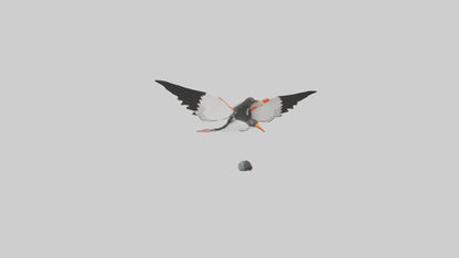 Black Skimmer gliding model 3D model