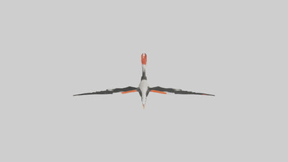 Black Skimmer gliding model 3D model