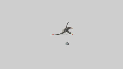 Black Skimmer gliding model 3D model