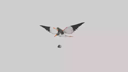 Black Skimmer gliding model 3D model