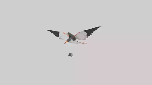 Black Skimmer gliding model 3D model