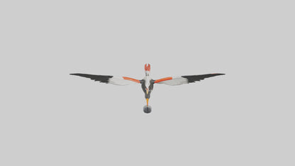 Black Skimmer gliding model 3D model