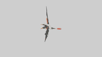 Black Skimmer gliding model 3D model