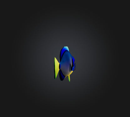 3D model Blue ring angelfish VR / AR / low-poly