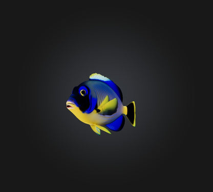 3D model Blue ring angelfish VR / AR / low-poly