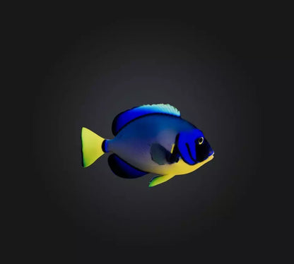 3D model Blue ring angelfish VR / AR / low-poly