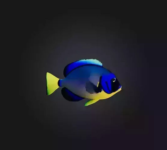 3D model Blue ring angelfish VR / AR / low-poly