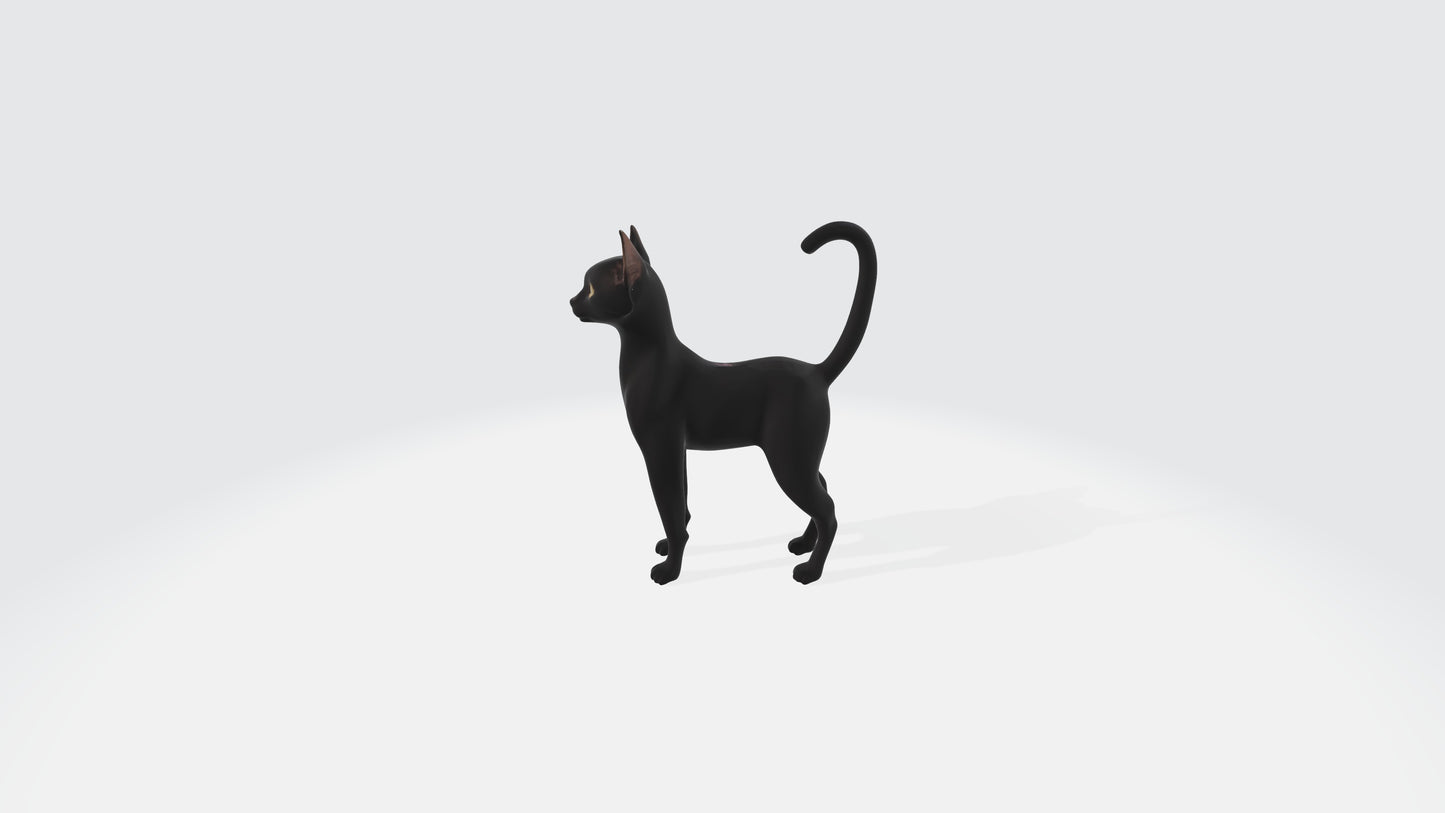 Bombay Cat Model Rigged and Animated 3D model animated rigged