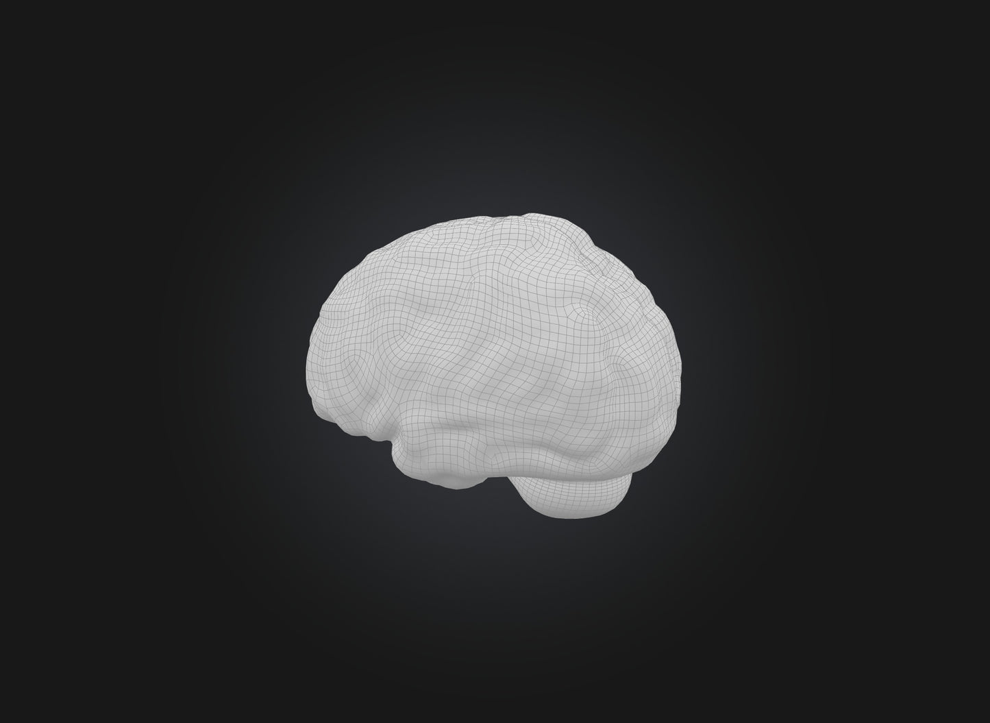 3D model brain VR / AR / low-poly