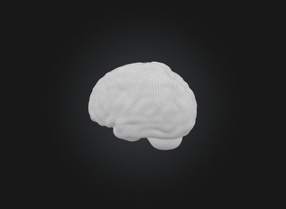 3D model brain VR / AR / low-poly