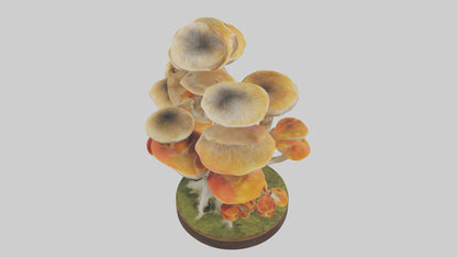 3D model Branching Fungi Sculpture model VR / AR / low-poly